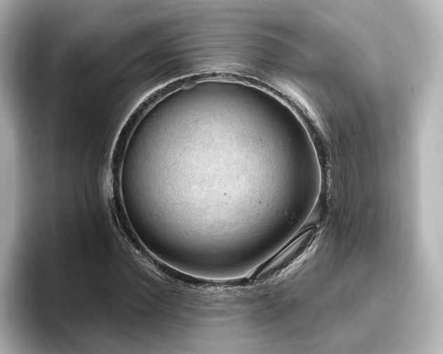 X0000096640924200802051125