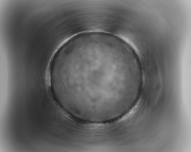 X0000096640925200802051125