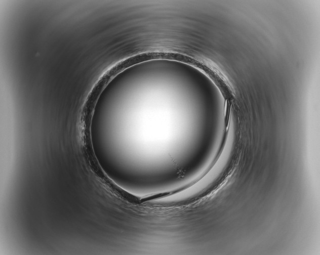 X0000096640926200802051125