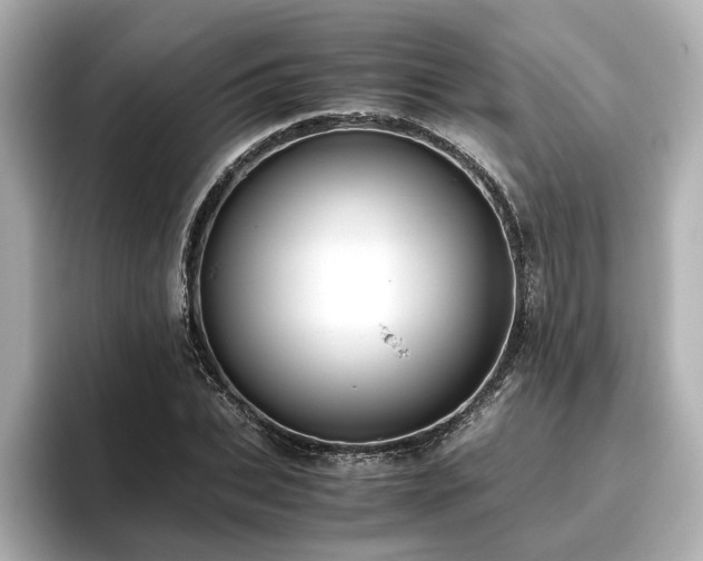 X0000096640927200802051125