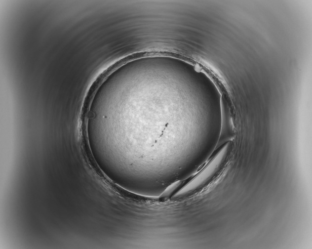 X0000096640928200802051125