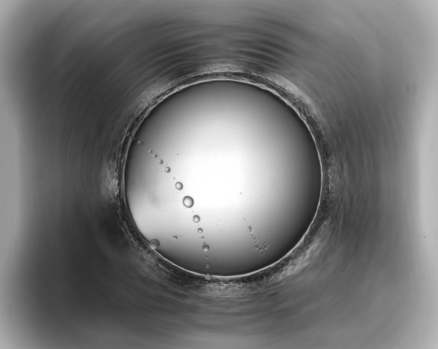 X0000096640929200802051125