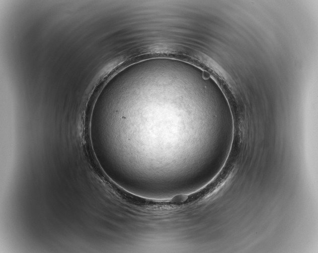 X0000096640930200802051125