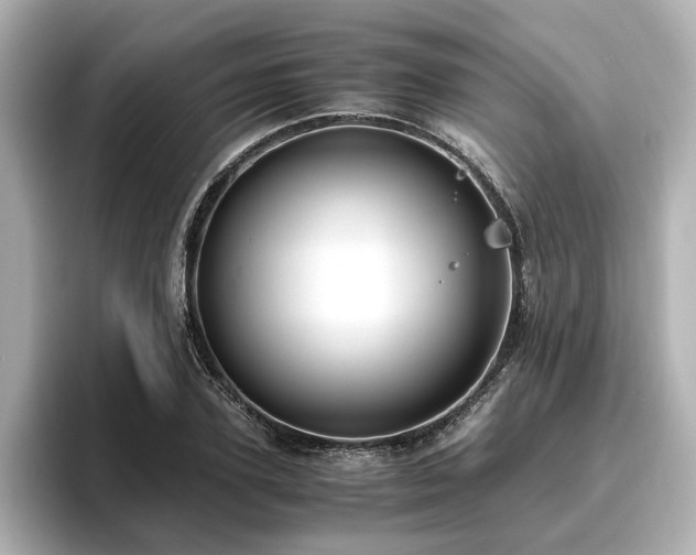 X0000096640931200802051125
