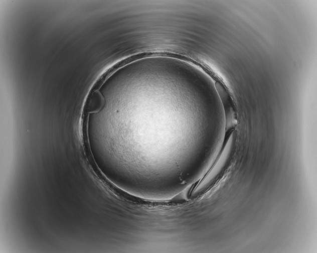 X0000096640932200802051125