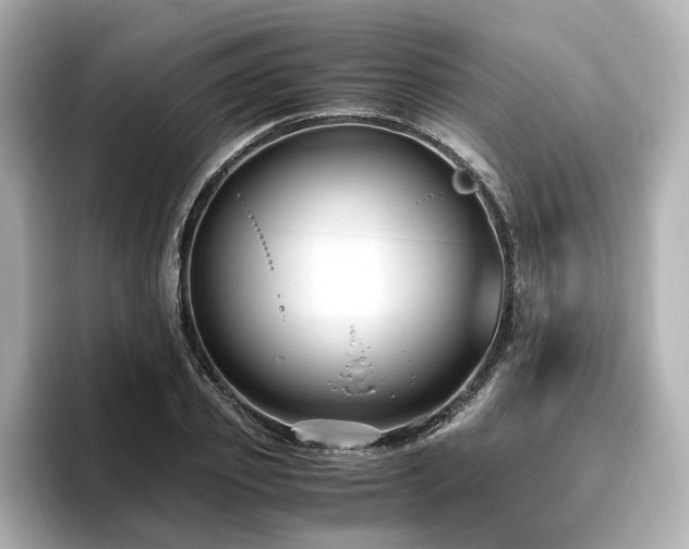 X0000096640933200802051125