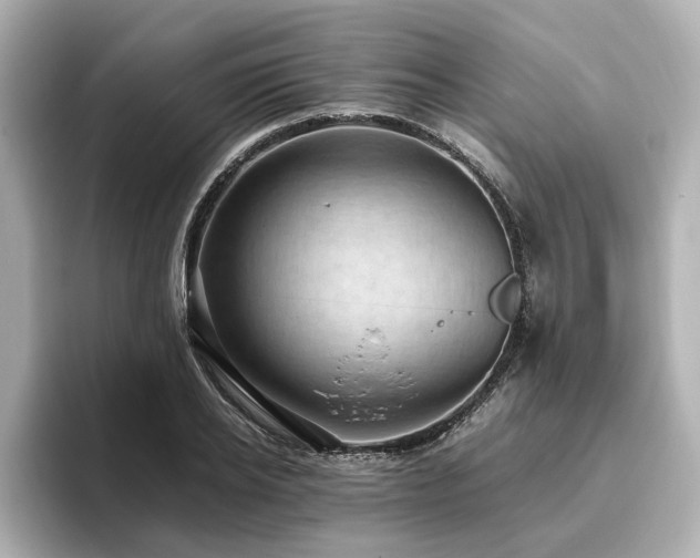 X0000096640934200802051125