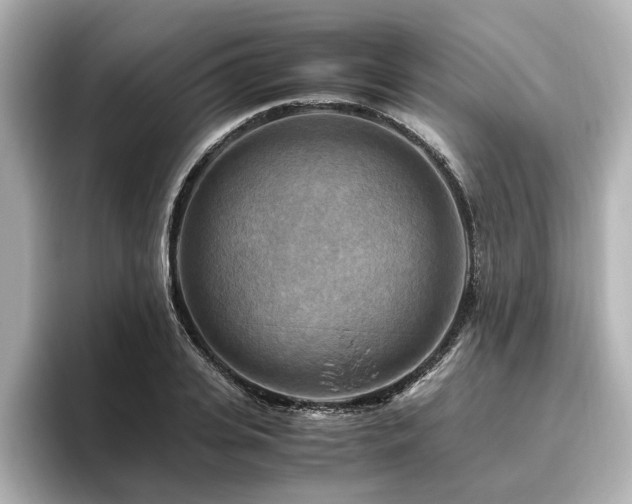 X0000096640935200802051125