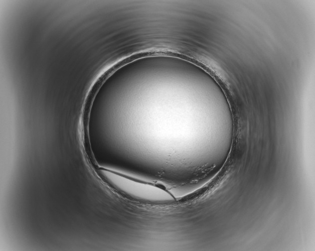 X0000096640936200802051125