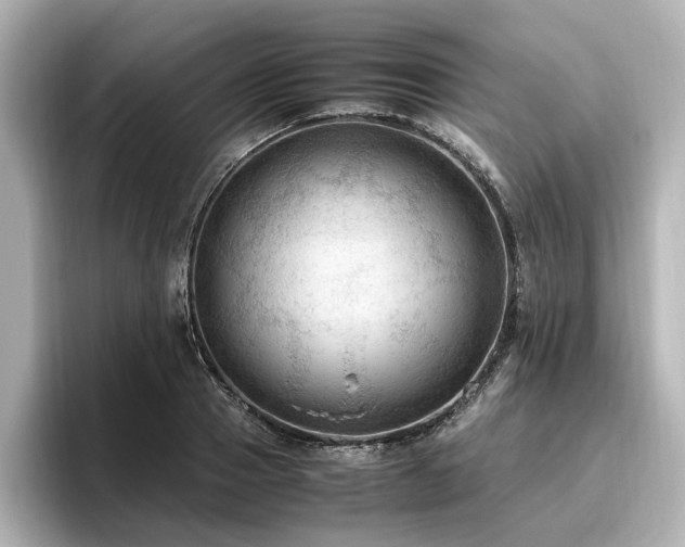 X0000096640937200802051125