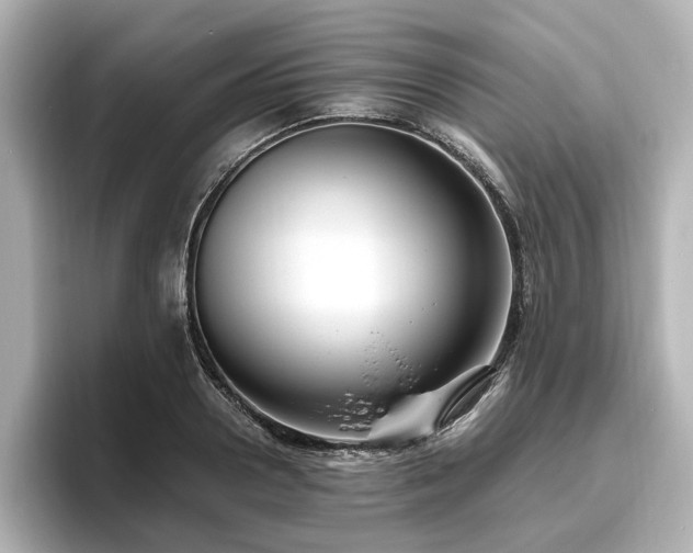 X0000096640938200802051125