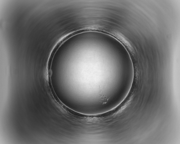 X0000096640940200802051125