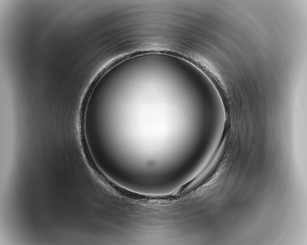 X0000096640942200802051125