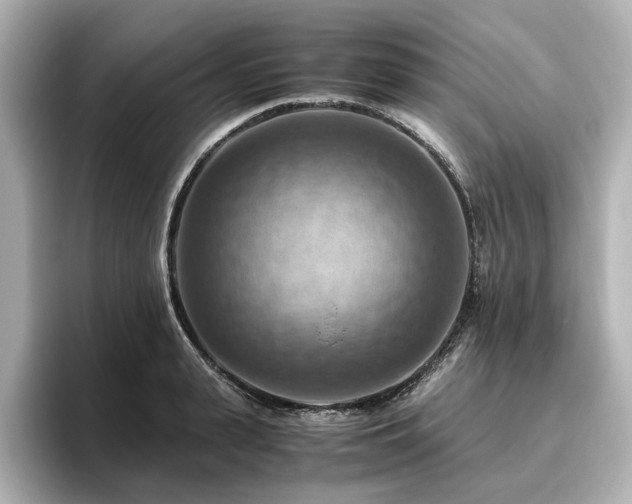 X0000096640943200802051125