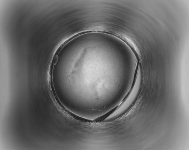 X0000096640944200802051125