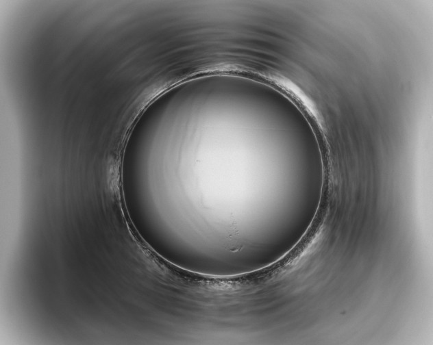 X0000096640945200802051125