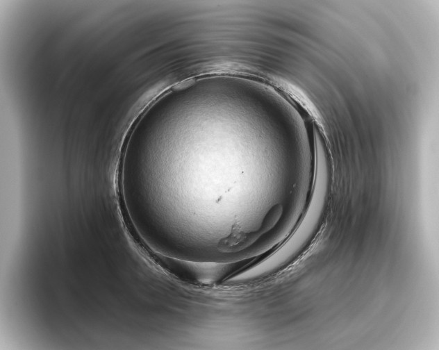 X0000096640946200802051125