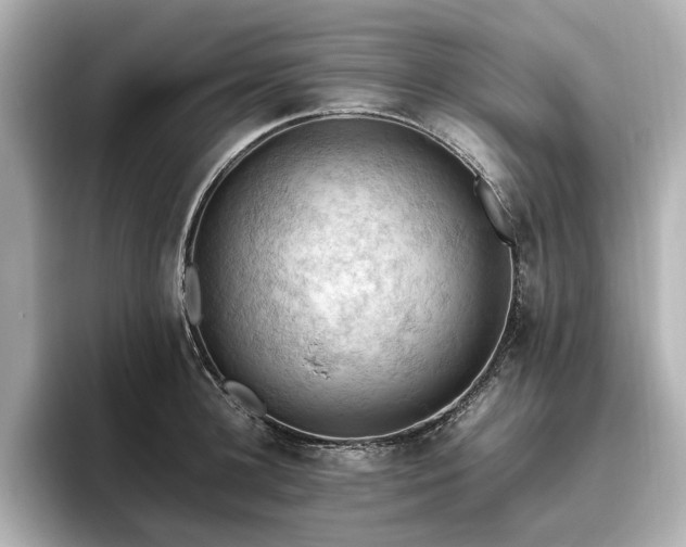 X0000096640948200802051125