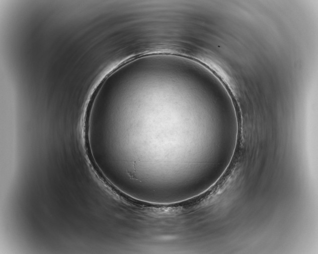 X0000096640949200802051125