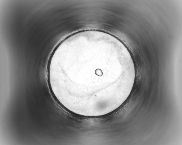 X0000096640950200802051125