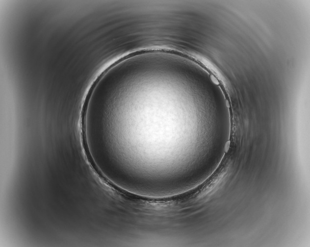 X0000096640951200802051125