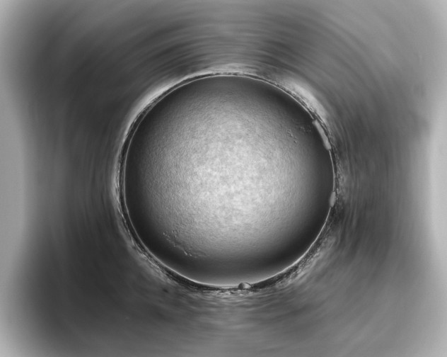 X0000096640952200802051125