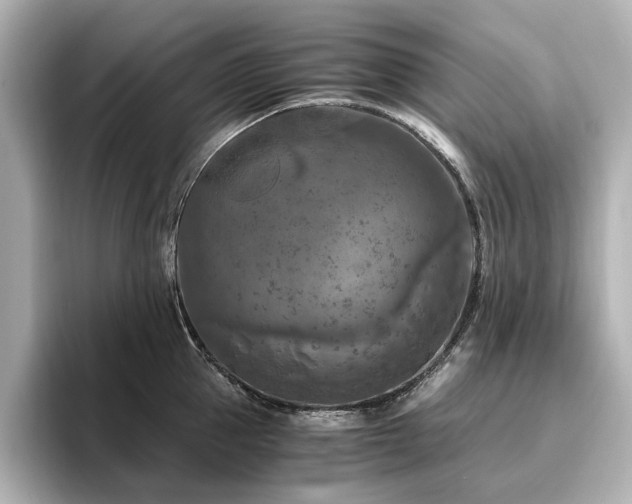 X0000096640953200802051125