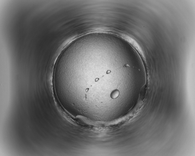 X0000096640954200802051125