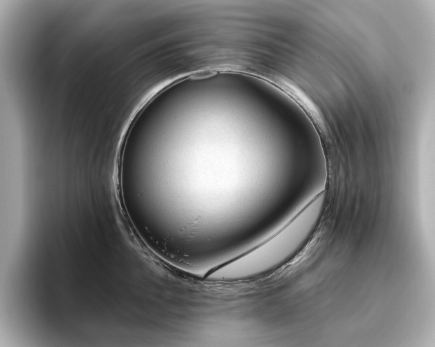 X0000096640956200802051125