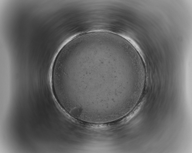 X0000096640957200802051125