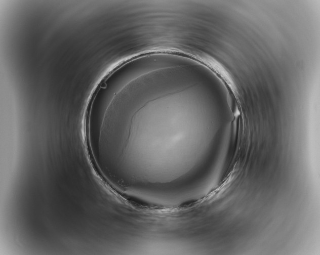 X0000096640958200802051125