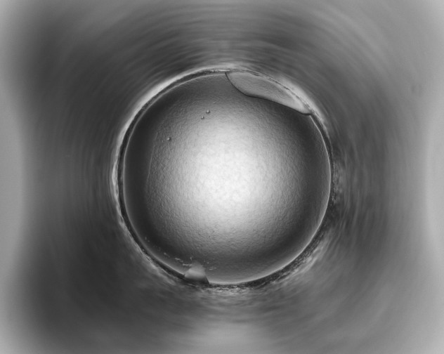 X0000096640959200802051125