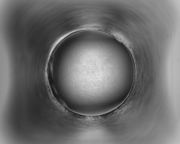 X0000096640960200802051125