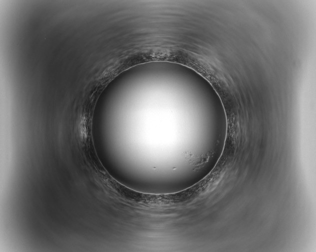 X0000096640962200802051125