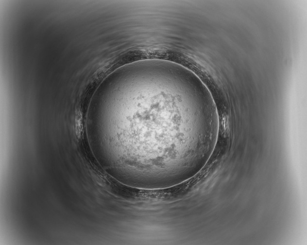 X0000096640963200802051125