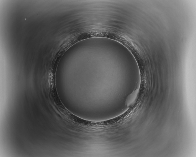 X0000096640964200802051125