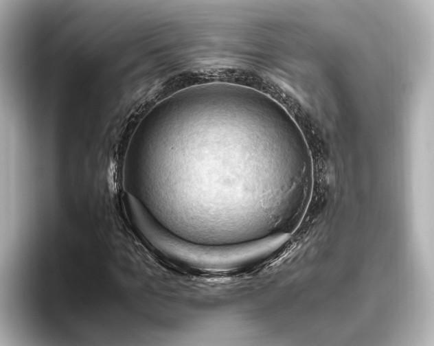 X0000096640965200802051125