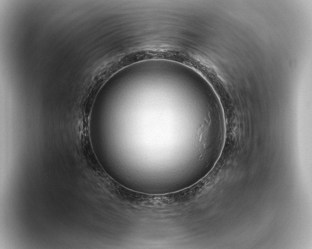 X0000096640966200802051125