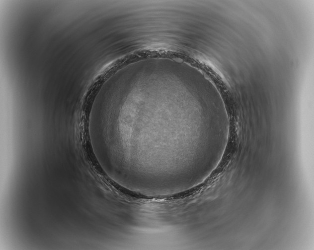 X0000096640968200802051125