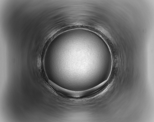 X0000096640969200802051125