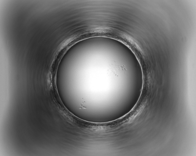 X0000096640970200802051125