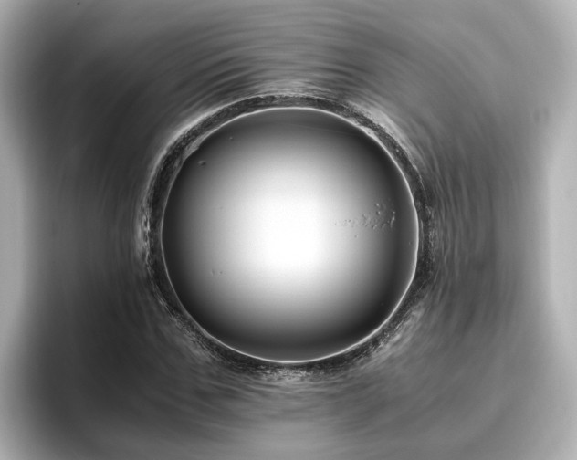 X0000096640971200802051125