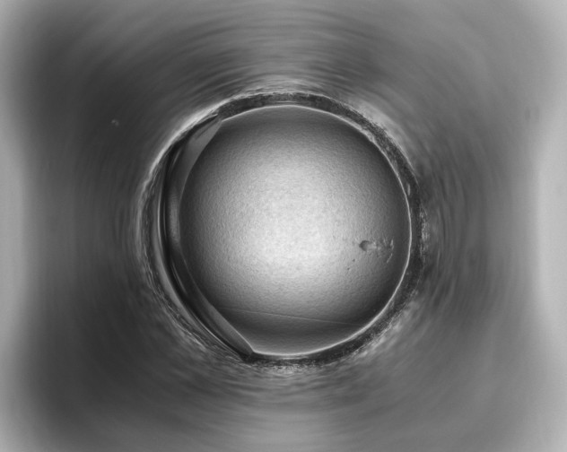 X0000096640973200802051124