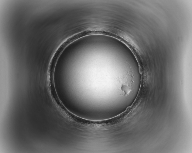 X0000096640976200802051124