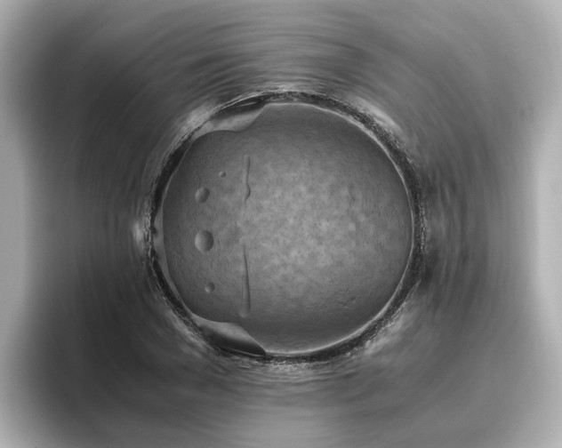X0000096640977200802051124