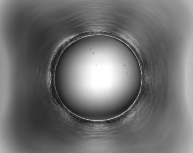 X0000096640979200802051124