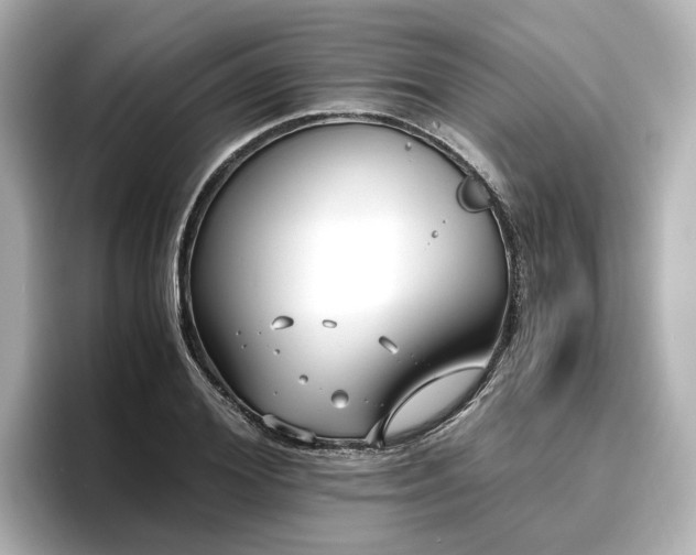 X0000096640980200802051124