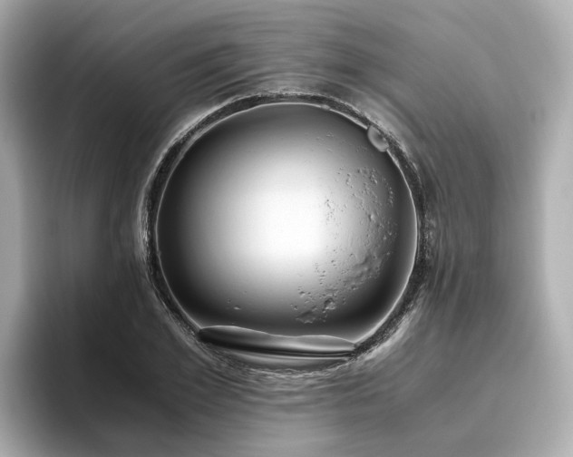 X0000096640981200802051124