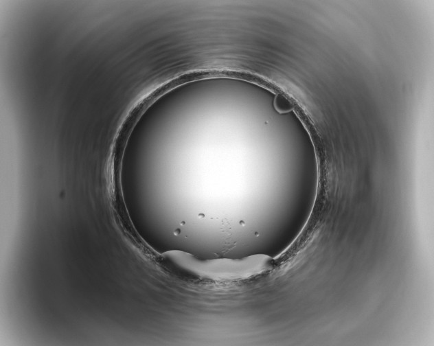 X0000096640982200802051124