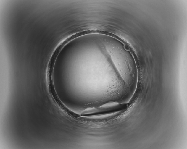 X0000096640983200802051124